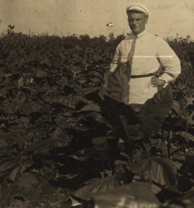 Мужчина в поле, где выращивают маньчжурский табак. СССР, 1920-е годы.