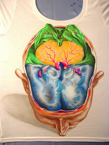 Мозги с секретом от Kerry D’Noit