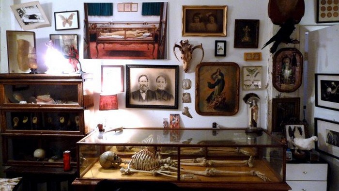  Библиотека и музей патологической анатомии, Бруклин, Нью-Йорк.