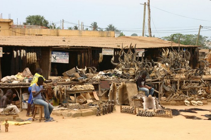  Рынок магии Акодессева, Ломе, Того.